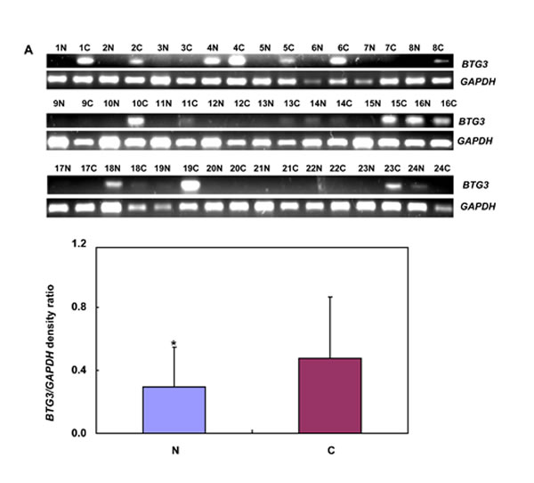fig4a