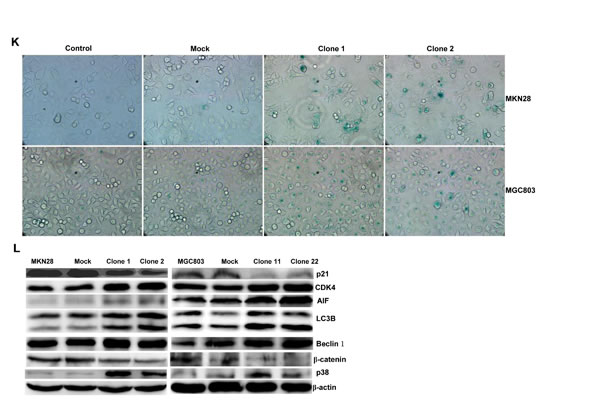 fig2i
