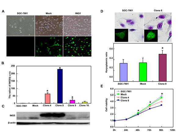 fig2a