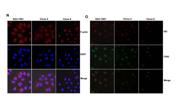fig2e
