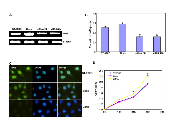 fig3a