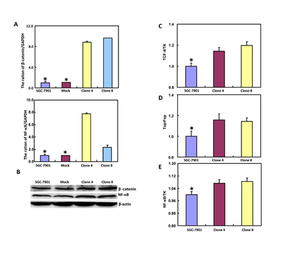 fig4a