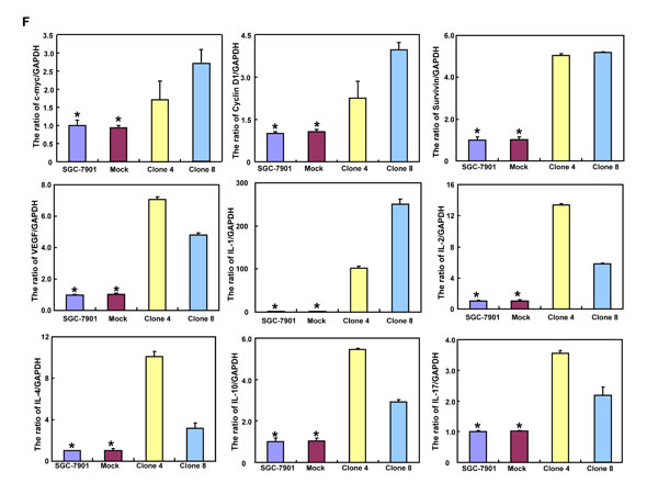 fig4b
