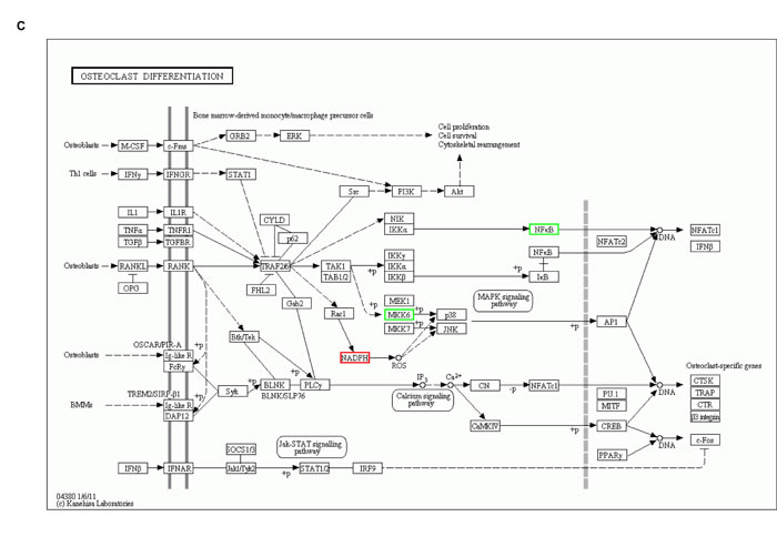 fig6c