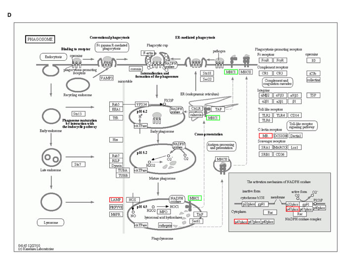 fig6d