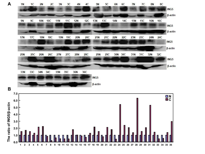 fig7a