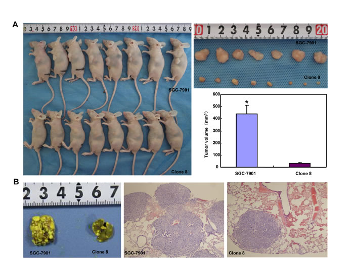 fig8a