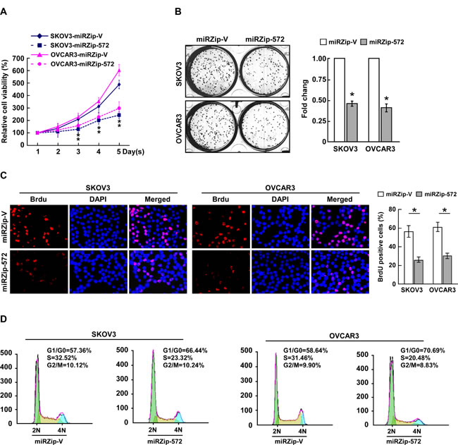 fig3