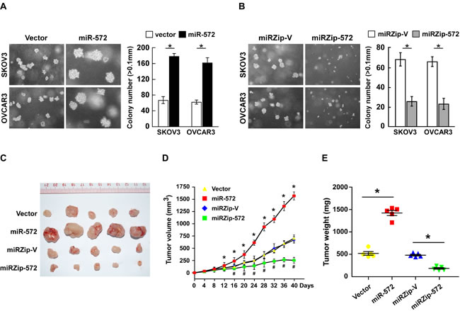 fig4