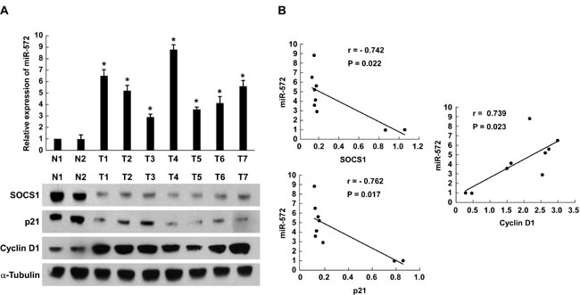 fig6