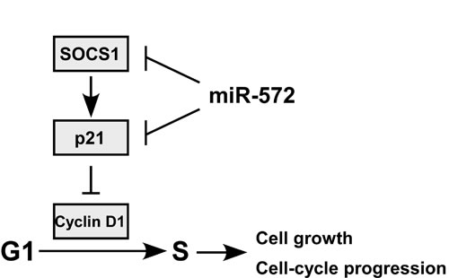 fig7