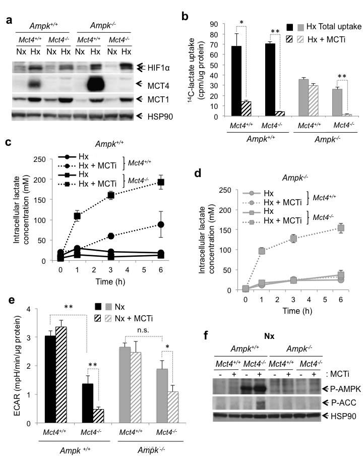 fig2