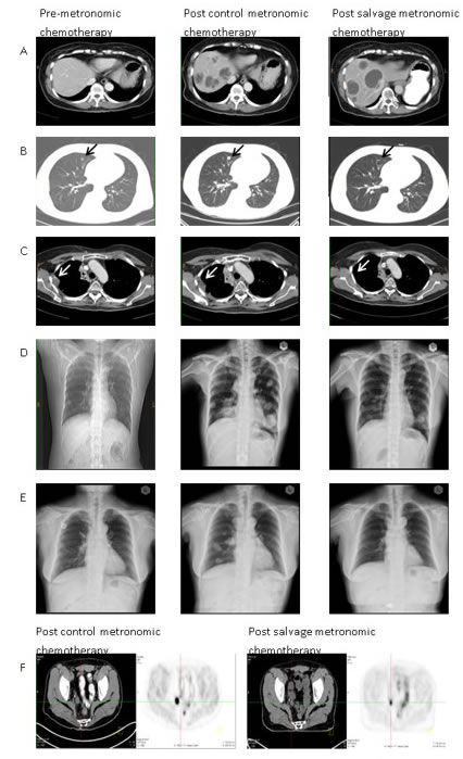 fig1