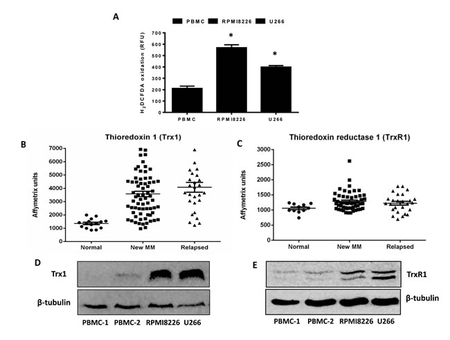 fig1