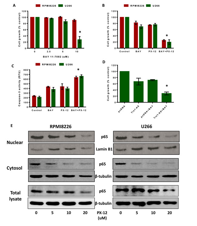 fig6