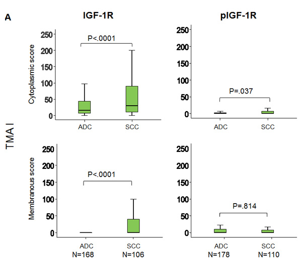 fig2a