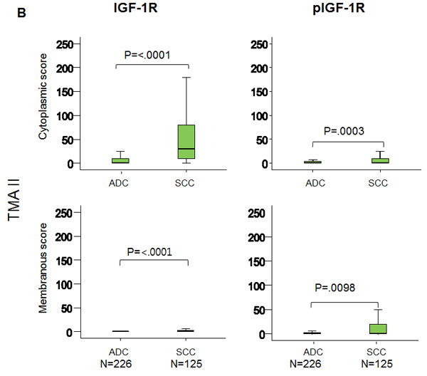 fig2b