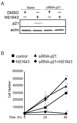 fig2