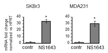fig3