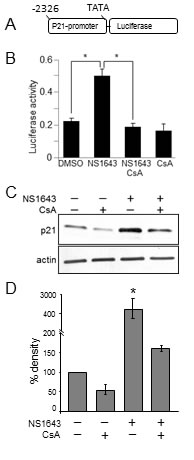 fig4