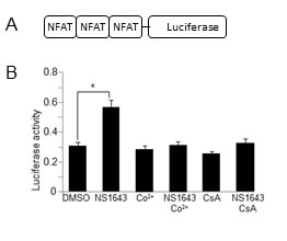 fig5