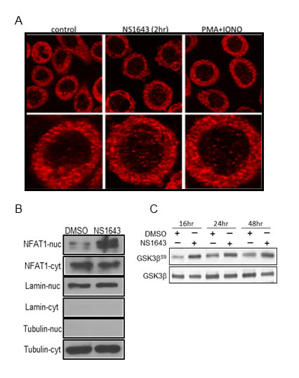 fig6