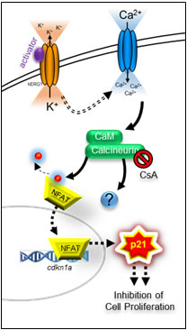 fig7