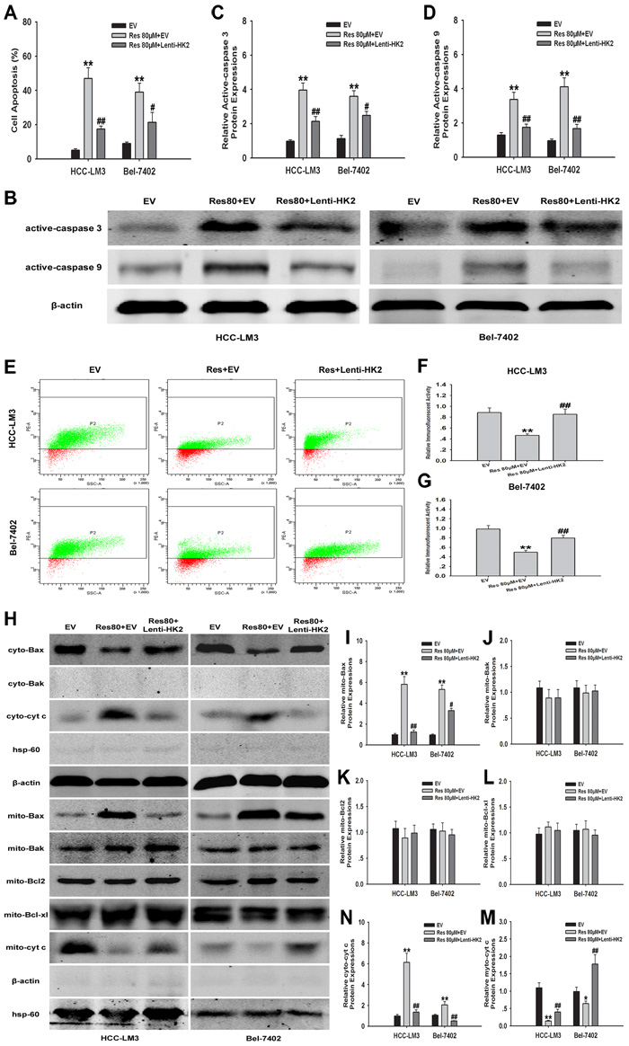 fig4