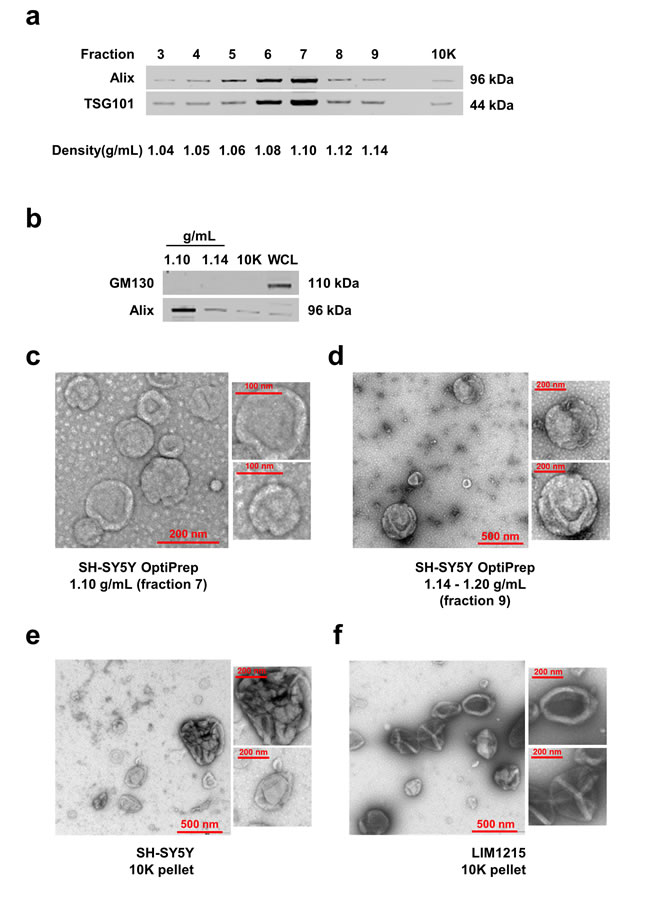 fig1