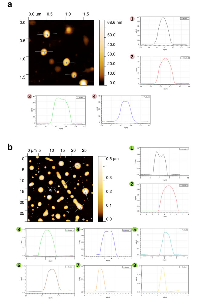 fig2