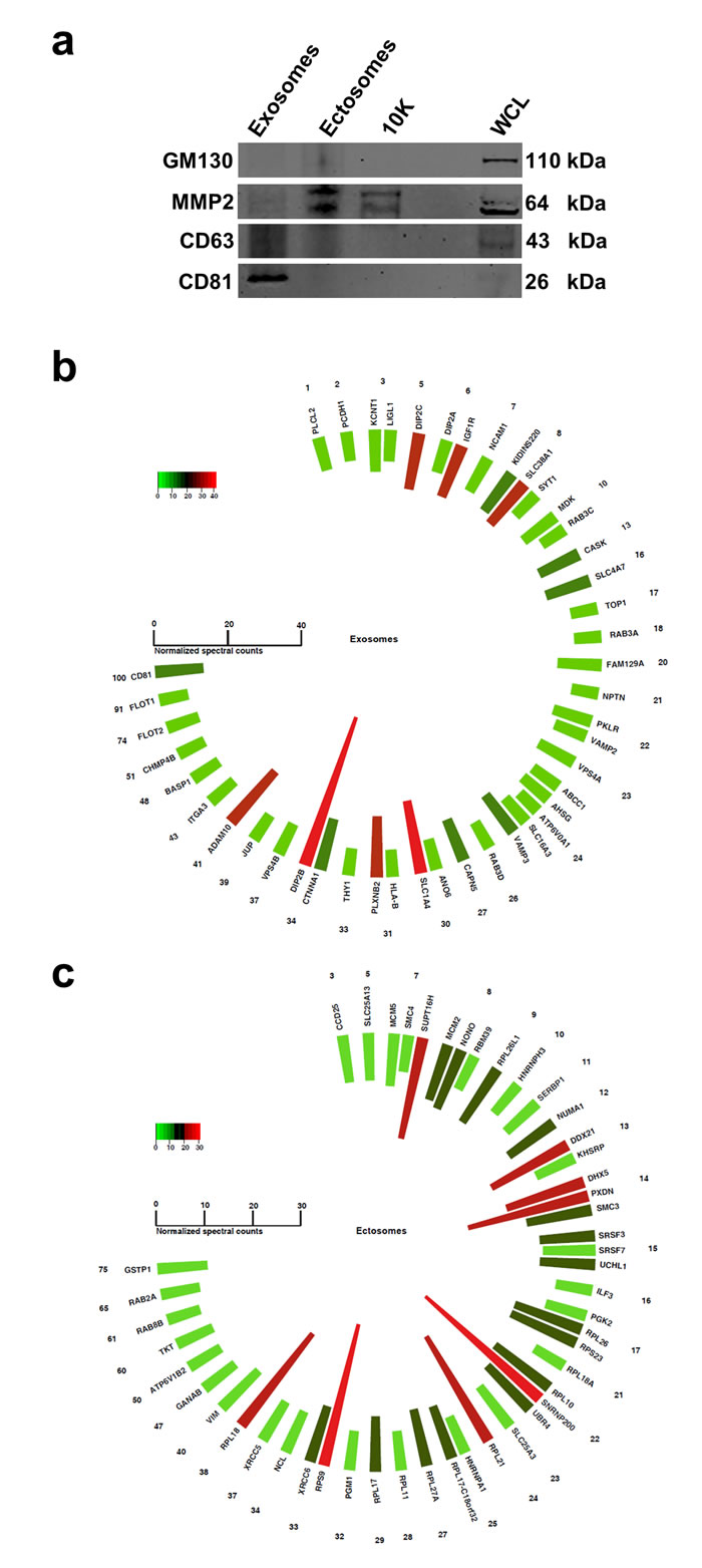 fig5