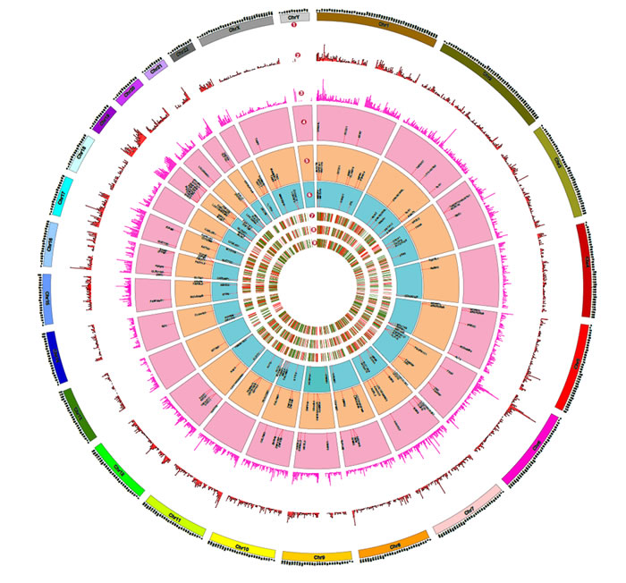 fig8