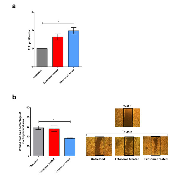 fig10