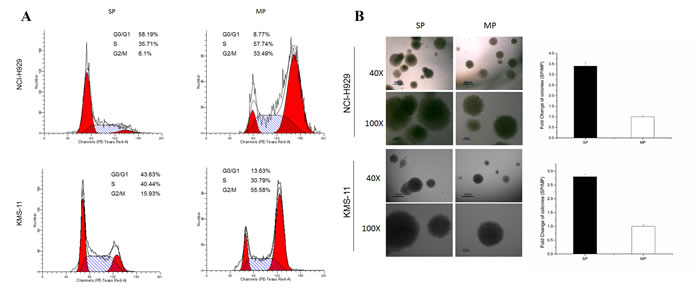 fig1a