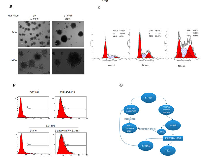 fig6b