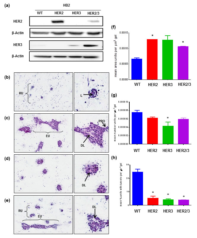 fig3