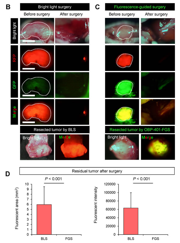 fig2b