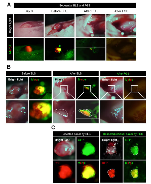 fig3