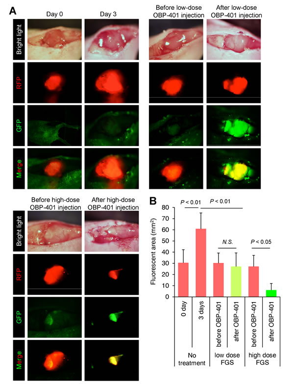 fig4a