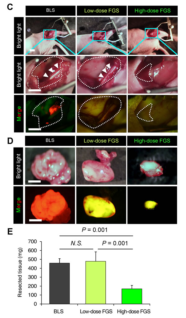 fig4b