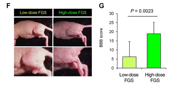 fig4c
