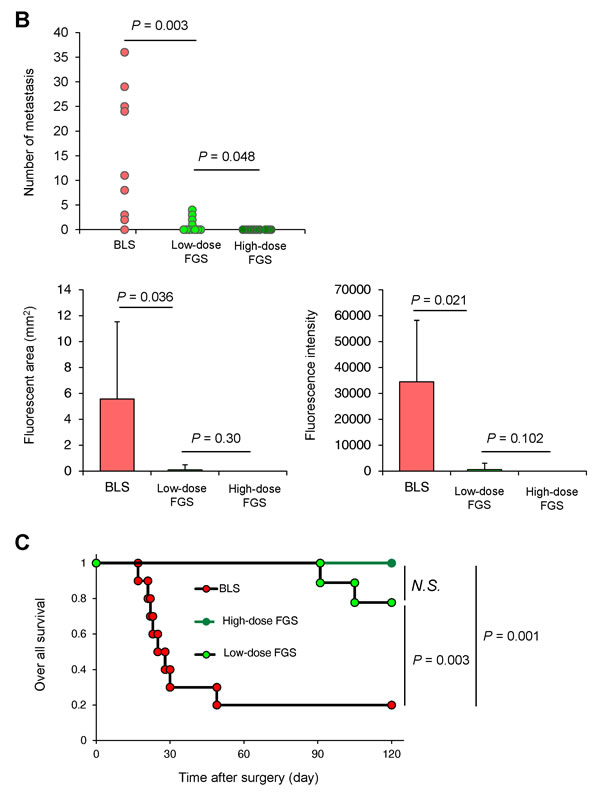fig6b