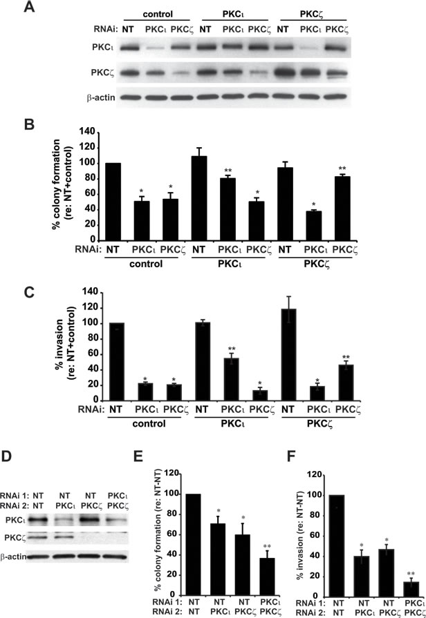 fig1