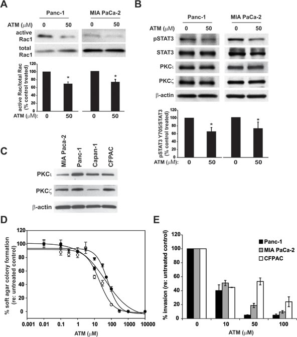 fig4