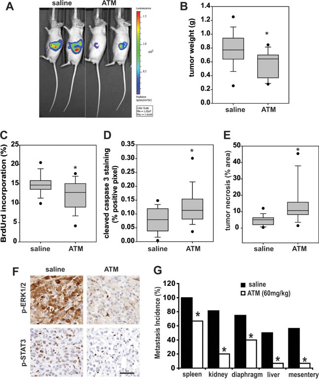 fig6
