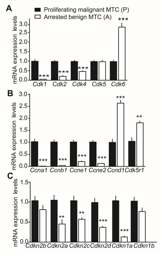 fig2