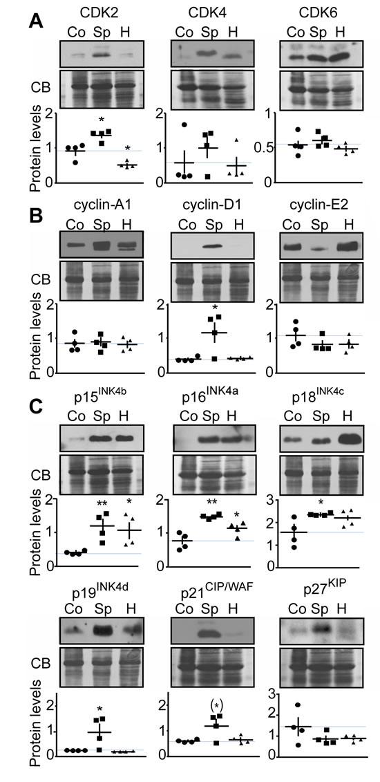 fig5