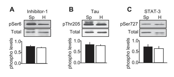fig6