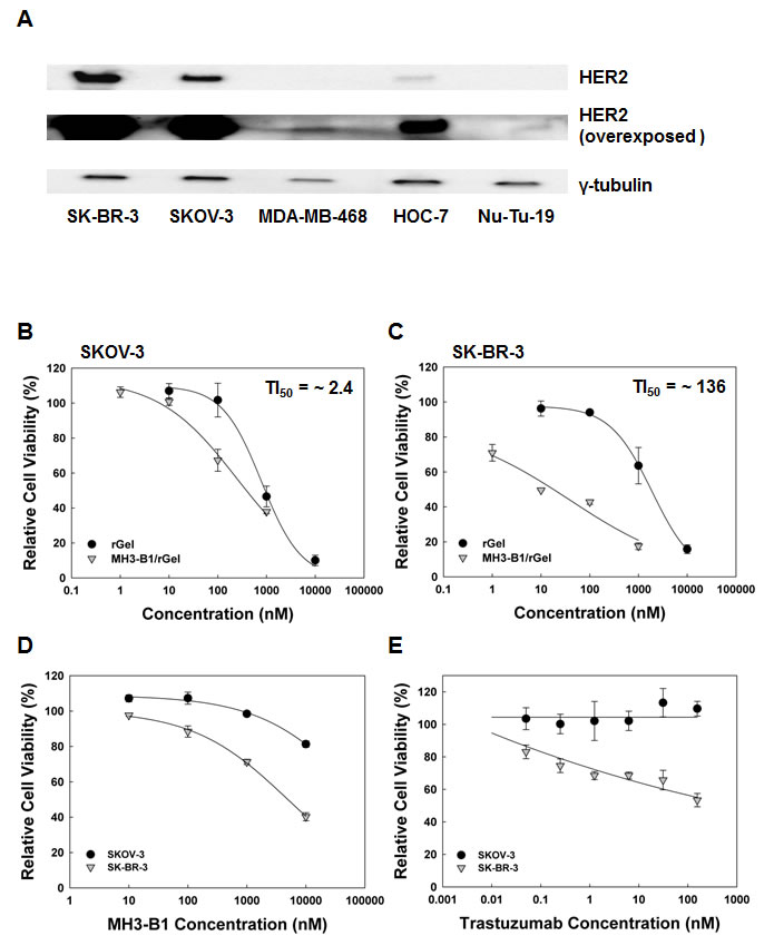 fig1