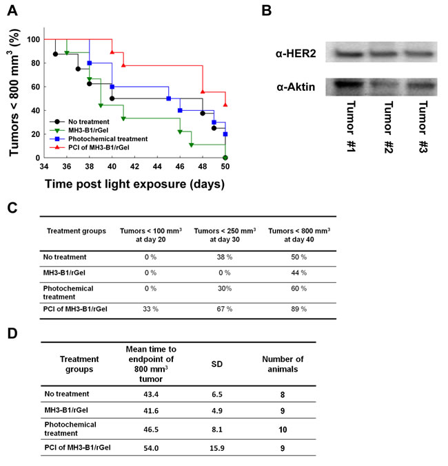 fig6